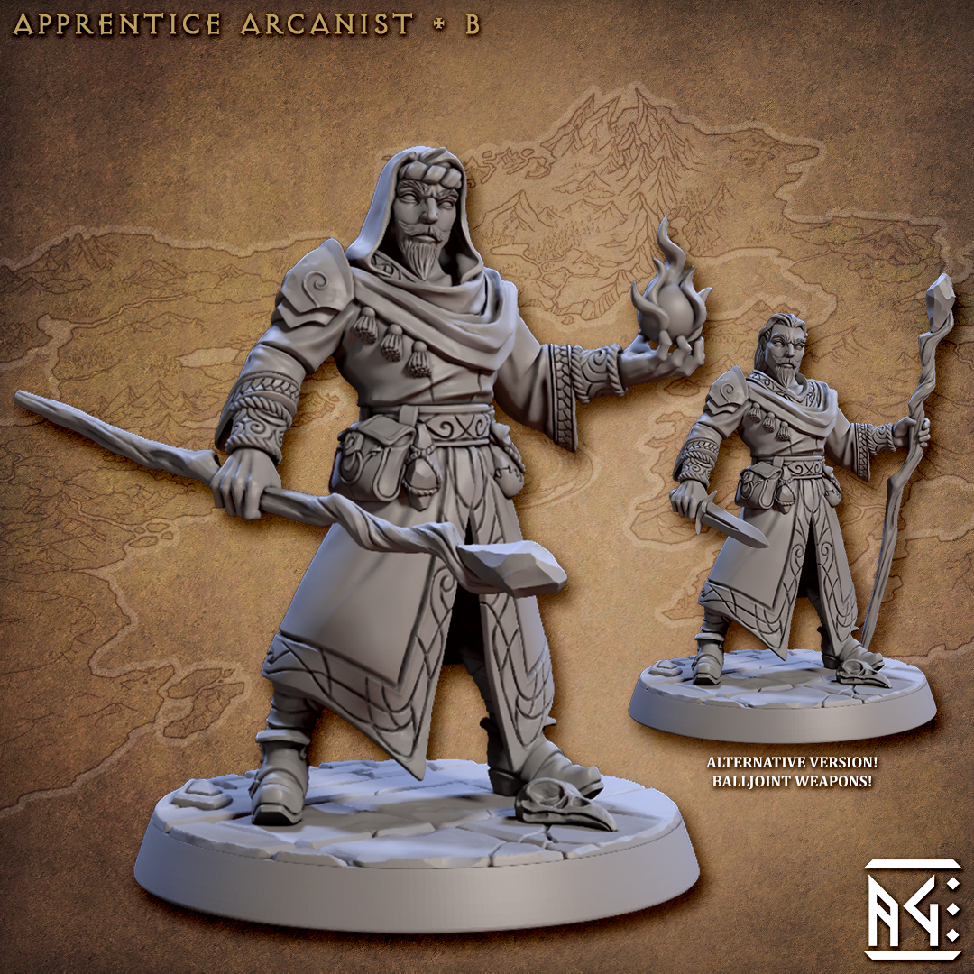 Apprentice Arcanist - D (Arcanist's Guild) | Miniset.net - Miniatures ...