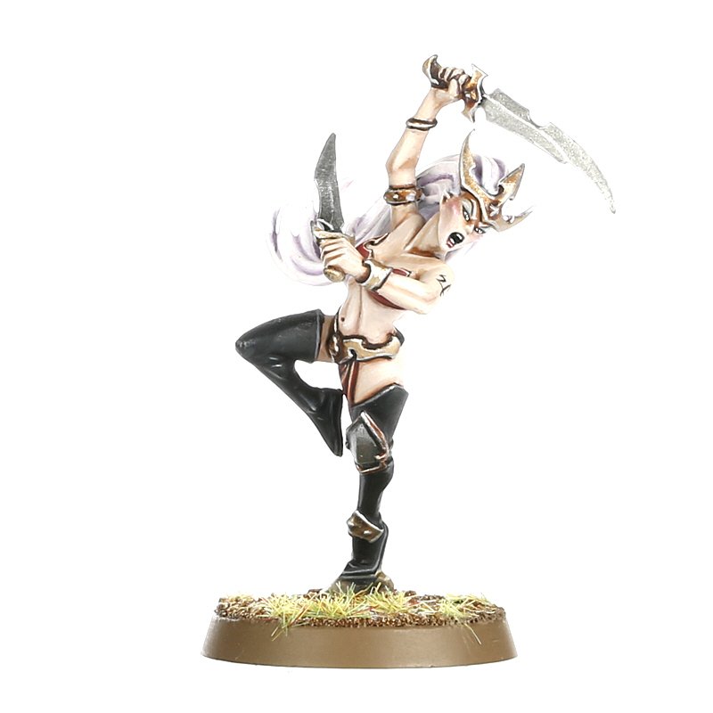 Warcry: Daughters of Khaine   - Miniatures Collectors