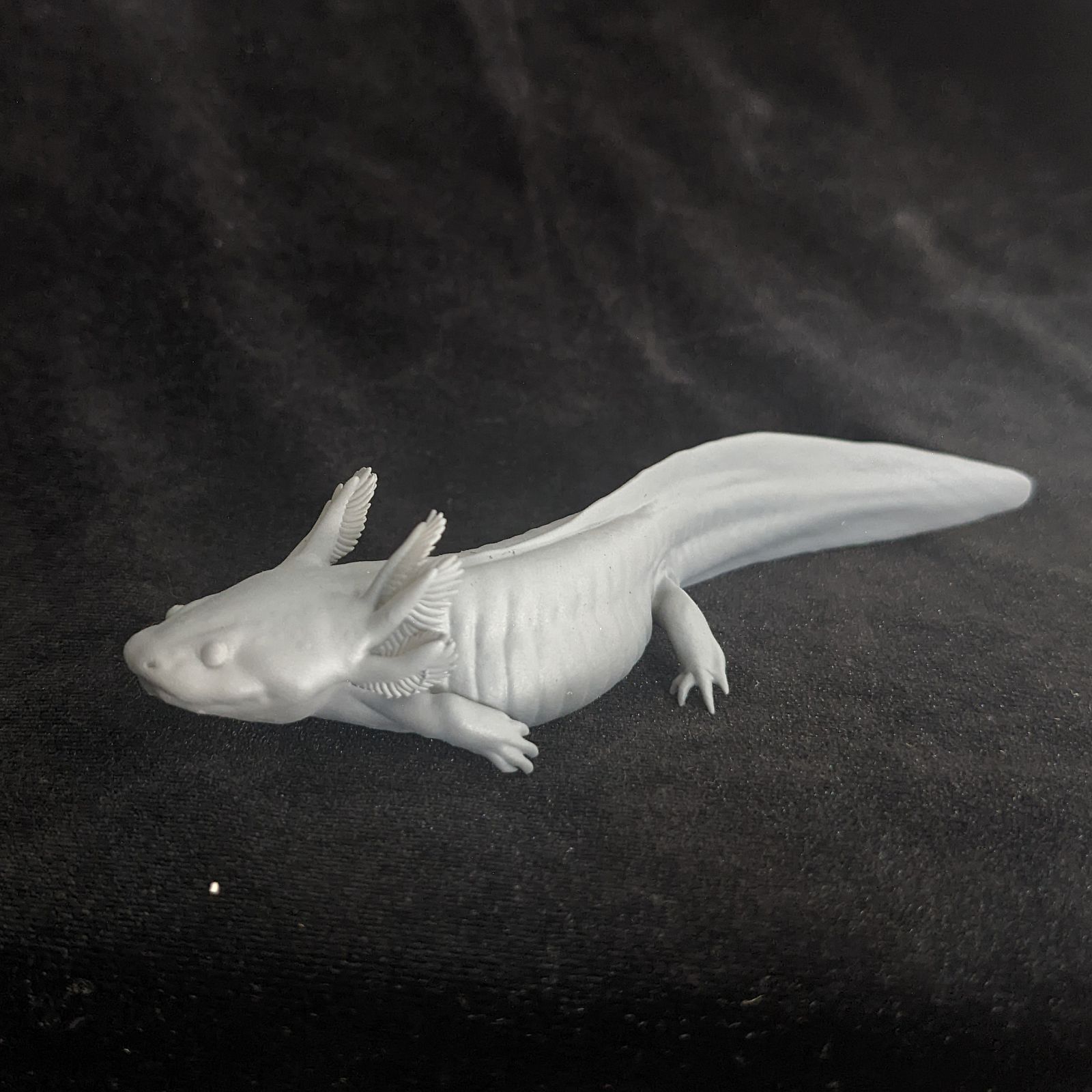 3D Printable Axolotl (Mexican Walking Fish) Ambystoma mexicanum by  Hellbender Museum