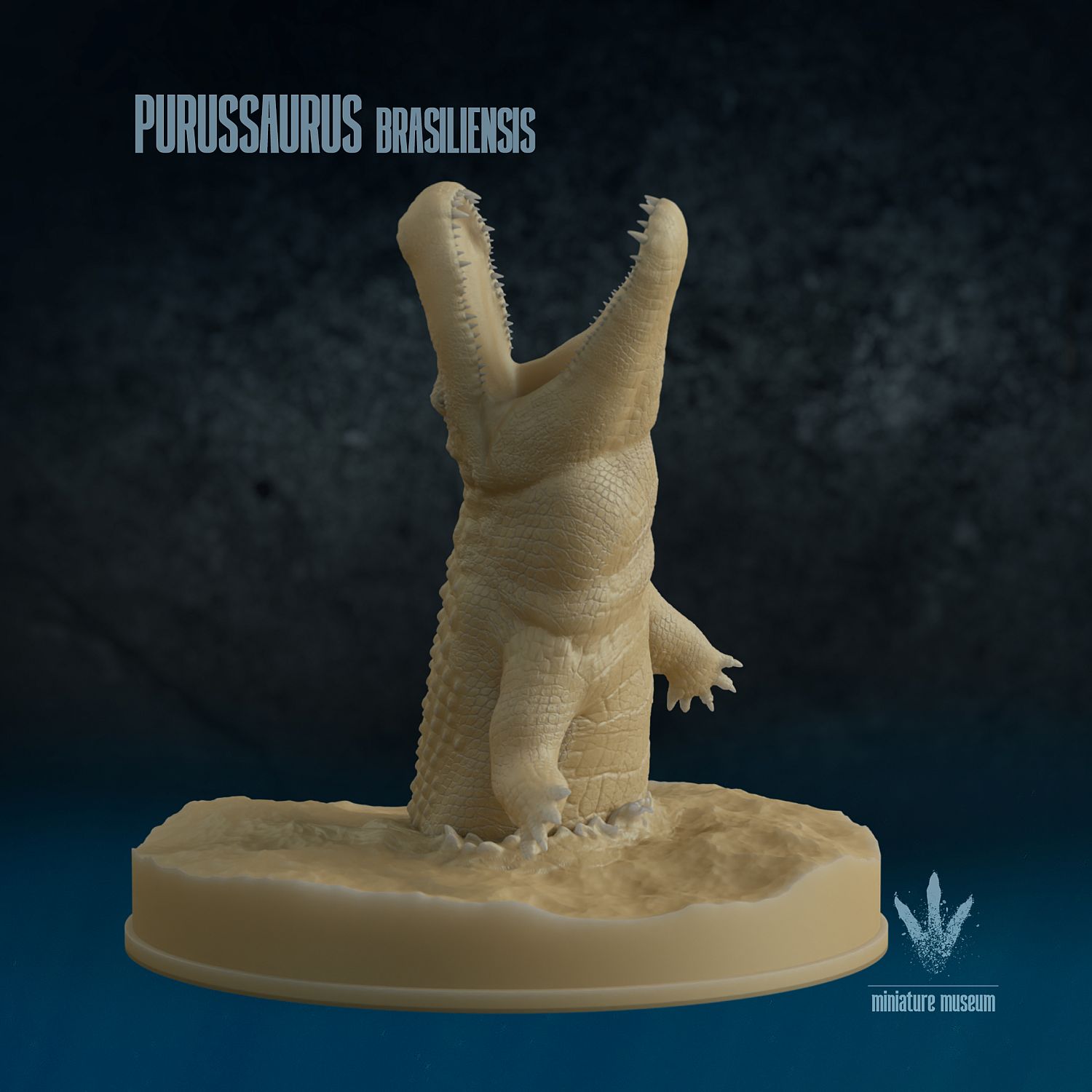 標本 Brazil Brachysiderus minicola 23mm 標本 Brazil Brachysiderus