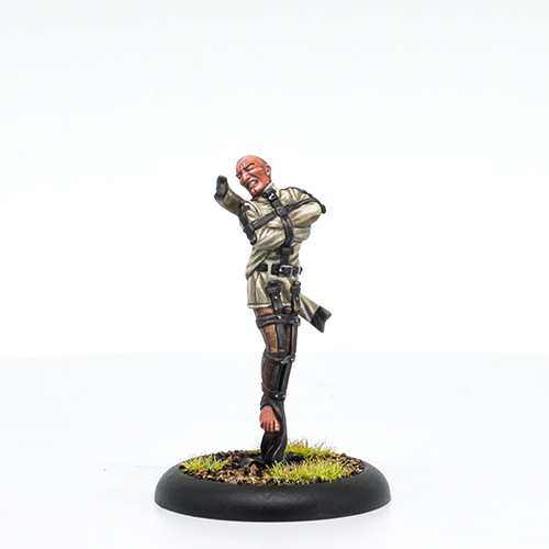 Crucible Guard, all miniatures | Miniset.net - Miniatures