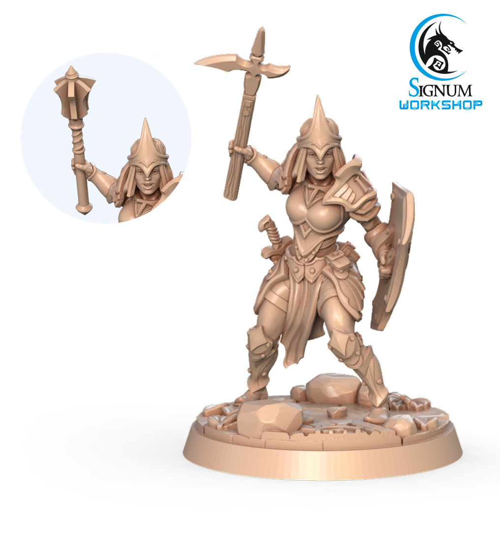 Ariana , Knight Of The Temple Of Aria | Miniset.net - Miniatures Collectors  Guide