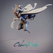 Axenus, Noctuoidea Moth Rogue