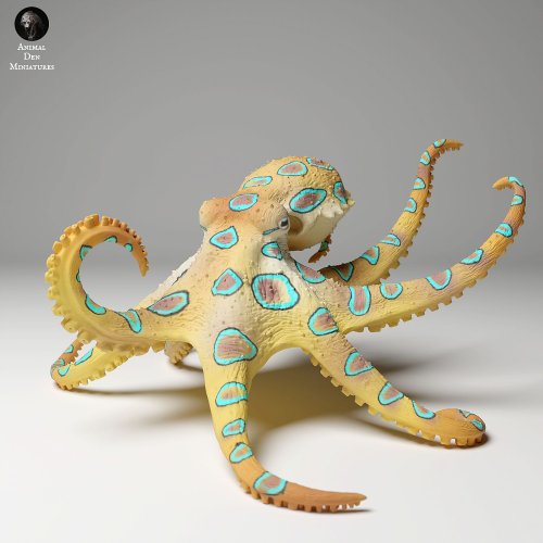 Greater Blue-Ringed Octopus Swim