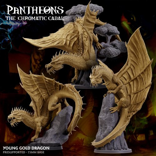 Young Gold Dragon - Pantheons