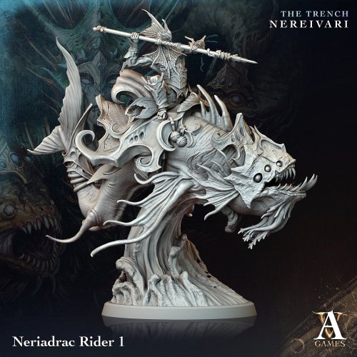Neriadrac Rider
