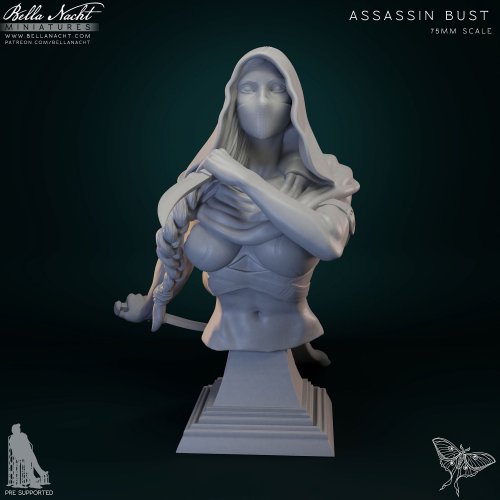 Assassin Pinup Bust