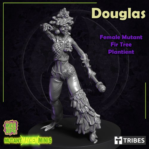 Douglas - A Female Mutant Fir Tree Plantient