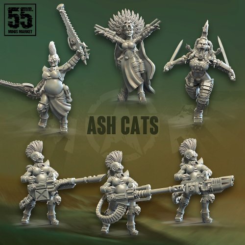 Ash Cats Night Gang