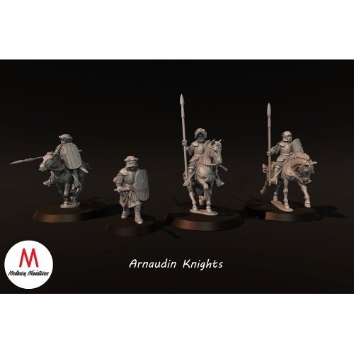 Arnaudin Knights