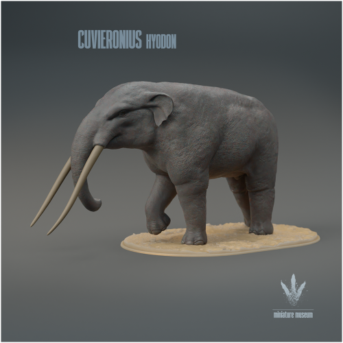 Cuvieronius Hyodon : Walking