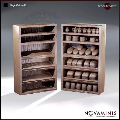 Shop Shelves 03