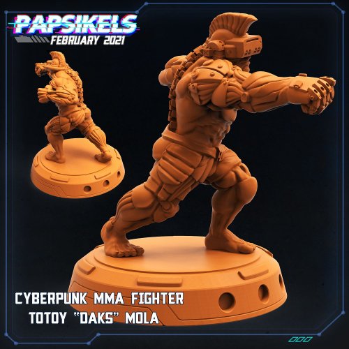 Cyberpunk mma Fighter Totoy Daks Mola