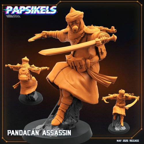 Pandacan Assassin