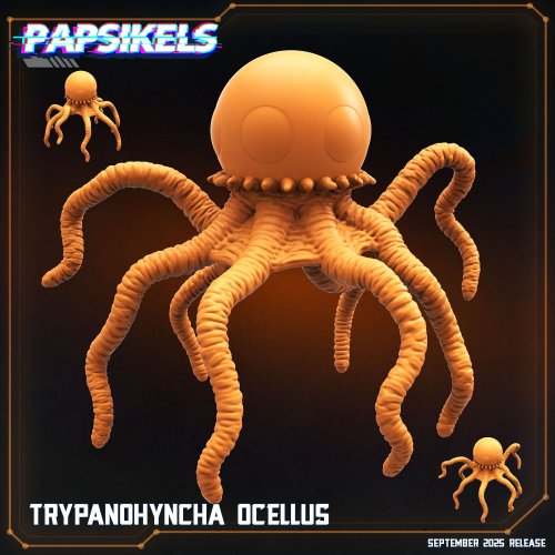 Trypanohyncha Ocellus