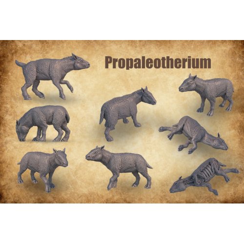 Ancestor Of Todays Horses, Propaleotherium