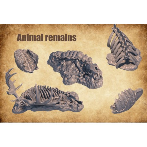 Awesome Set Of Bones And Remains