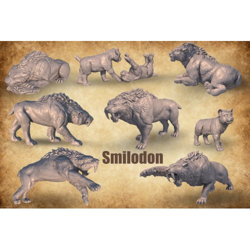 Epic Set Of Smilodons, Sabertooth