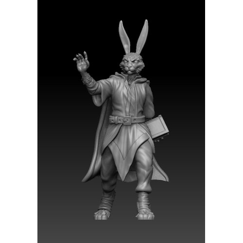 Rabbitfolk Wizard