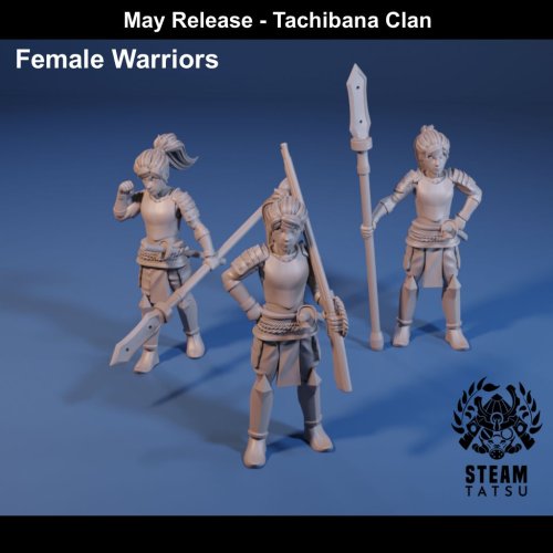 Tachibana Clan - Female Warriors