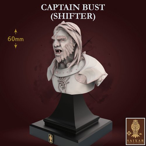 Captain Raghnall Brùn - 2 Busts