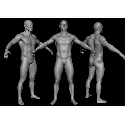 Realistic Heroic Male Basemesh, Self Stand