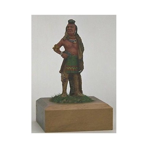 Mohican Warrior